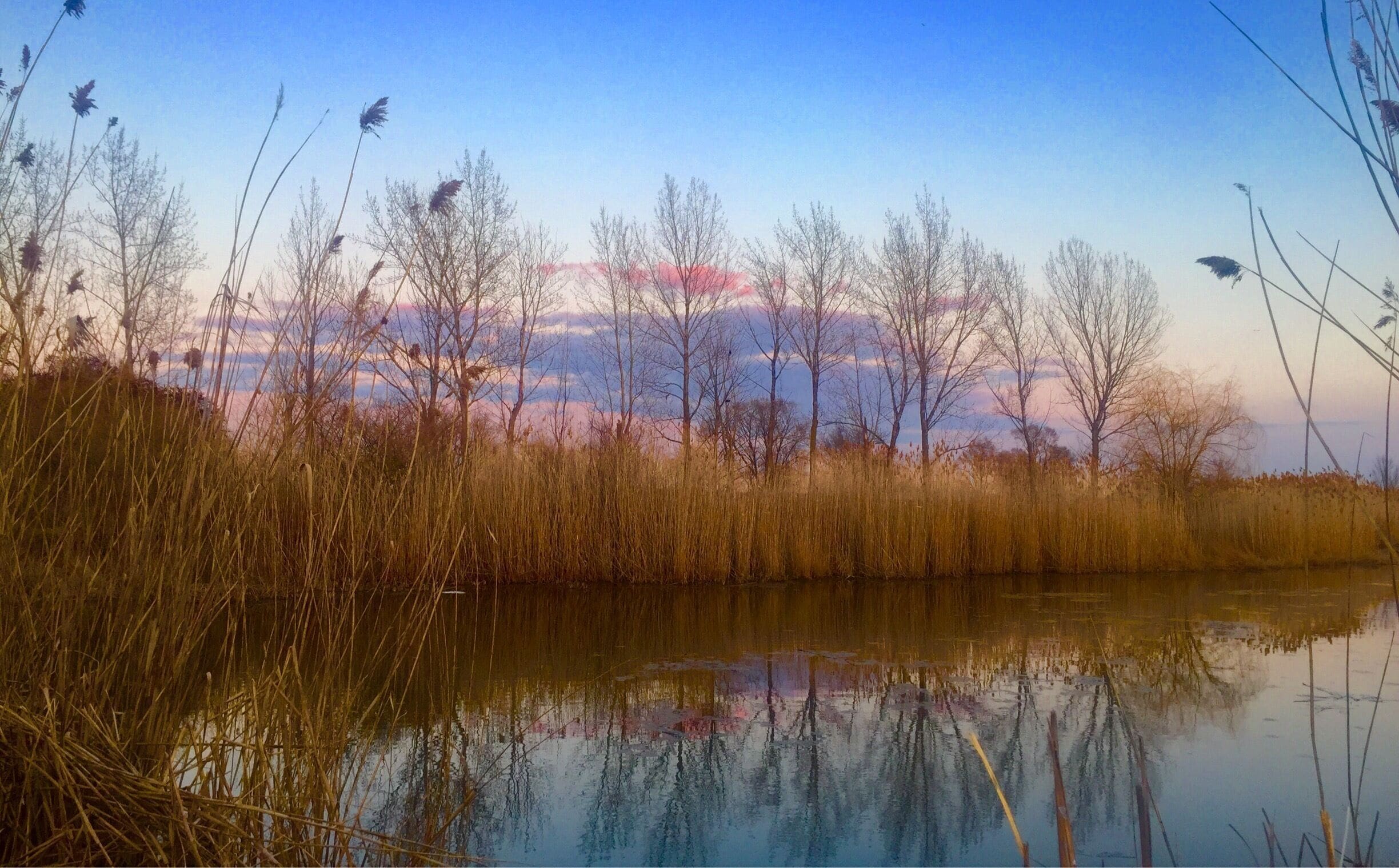 I forget I live in a city when I come to this park.