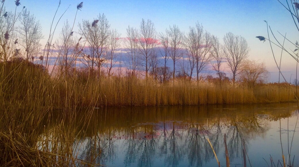 I forget I live in a city when I come to this park.