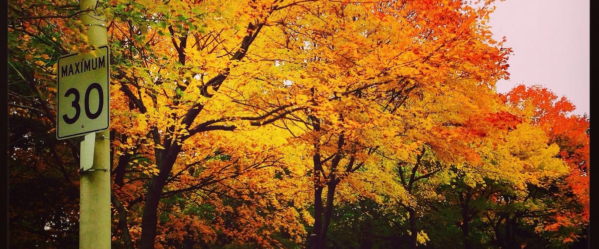 fall colors, Toronto