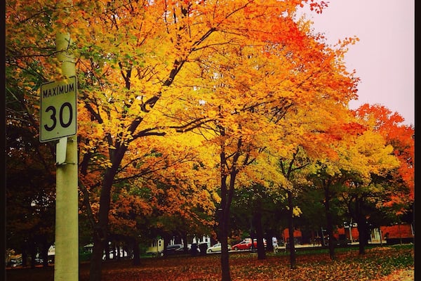 fall colors, Toronto