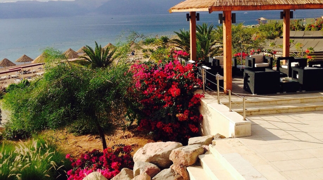 Beautiful private beach club in Aqaba. Women can't really swim at the public beaches so this was a welcome spot