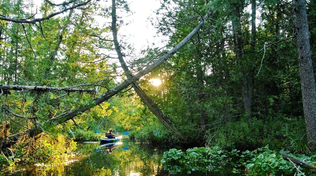 Taking the kayaks out to explore the areas around Ice Chest Lake in the beautiful Northern Ontario.