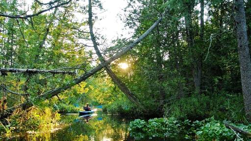 Taking the kayaks out to explore the areas around Ice Chest Lake in the beautiful Northern Ontario.