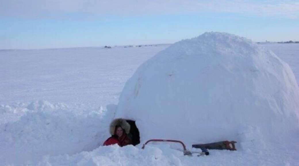 Someone said Igloo! Nice and warm! #snow.