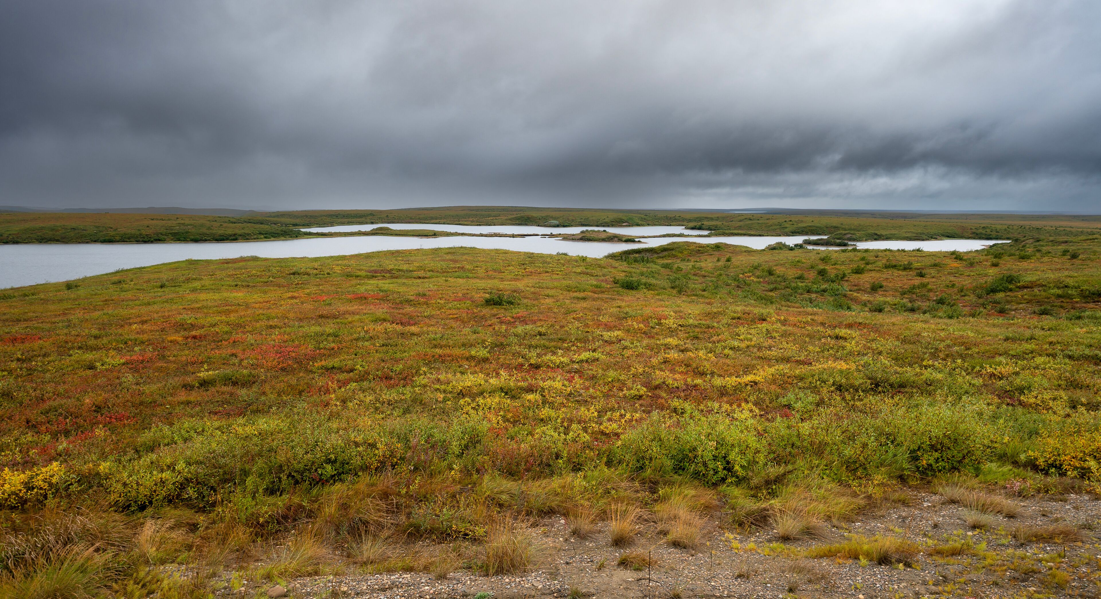 Autumn view of a tundra pond on the permafrost near Tuktoyaktuk, Northwest Territories, Canada