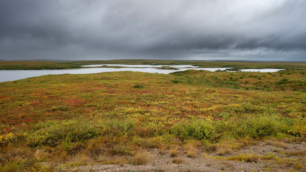 Un paysage de zone humide avec un lac et un ciel nuageux.