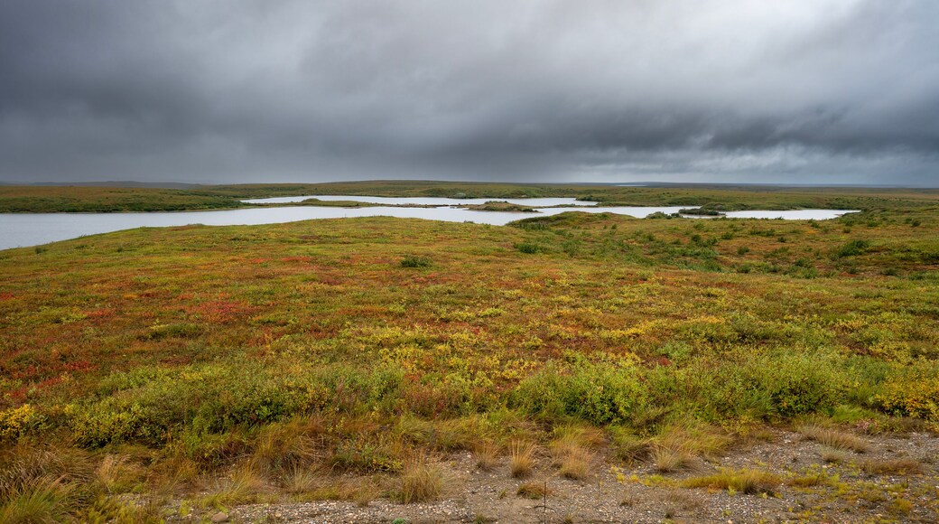 Autumn view of a tundra pond on the permafrost near Tuktoyaktuk, Northwest Territories, Canada