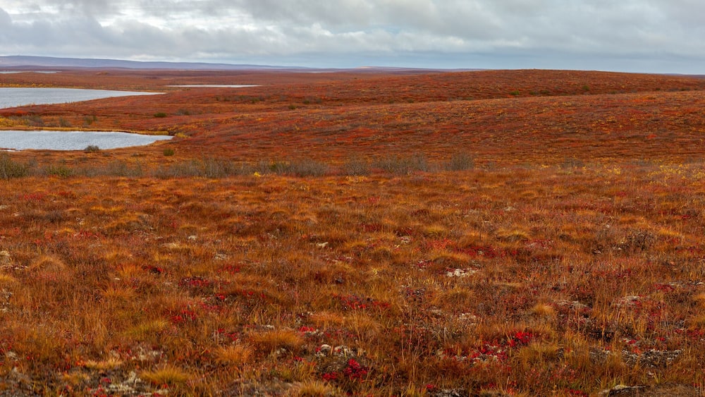 Panorama of the Canadian tundra