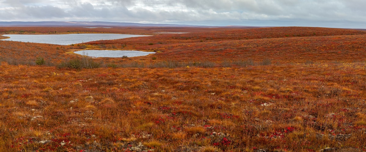 Panorama of the Canadian tundra