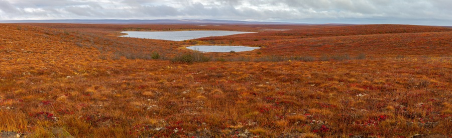 Panorama of the Canadian tundra