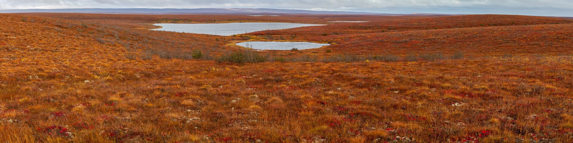 Panorama of the Canadian tundra