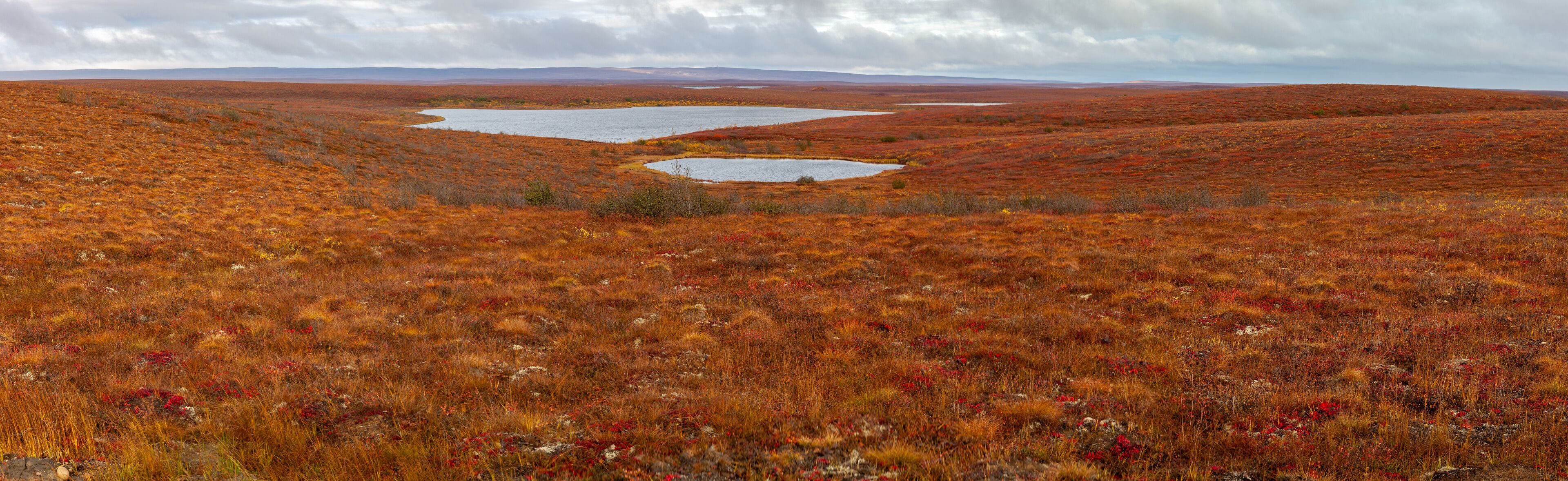 A vast, open landscape with a lake surrounded by reddish-brown vegetation.