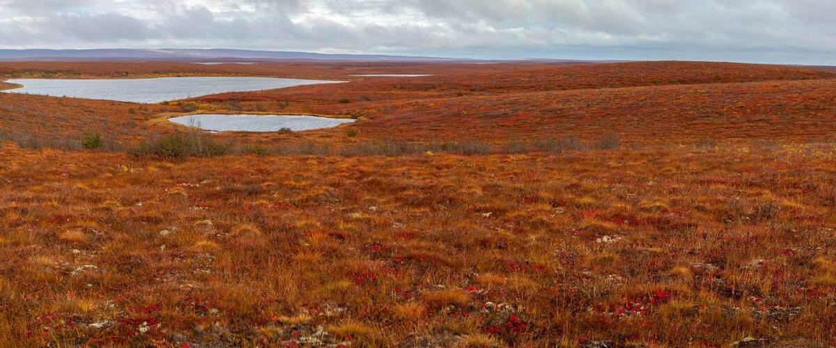 Panorama of the Canadian tundra