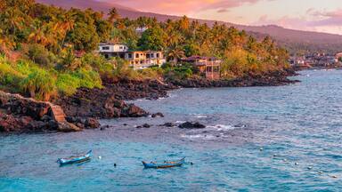 A coastal village with houses on a hillside, palm trees, and boats on the water.