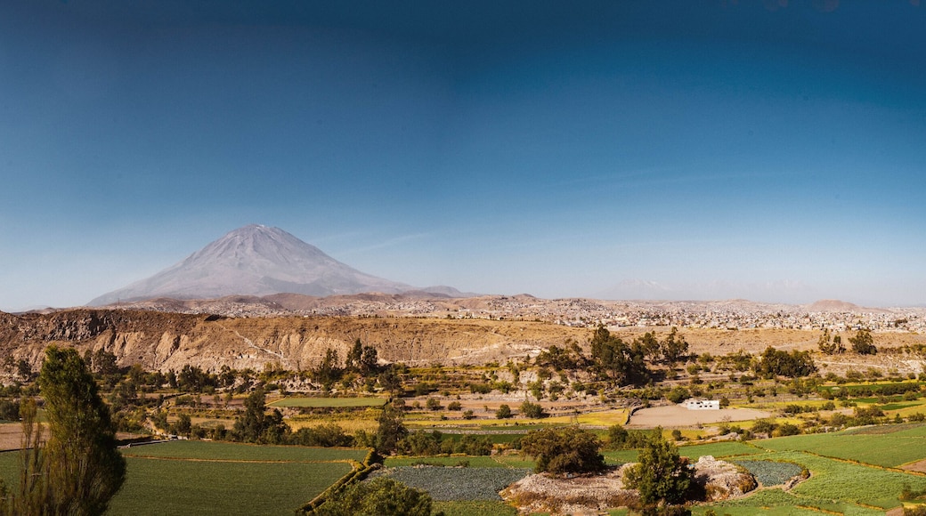 Arequipa