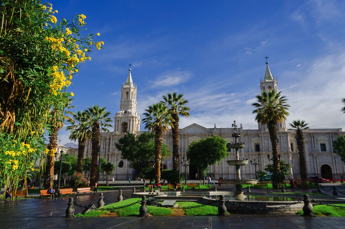 A historic plaza with a fountain, palm trees, and a large building with two towers.