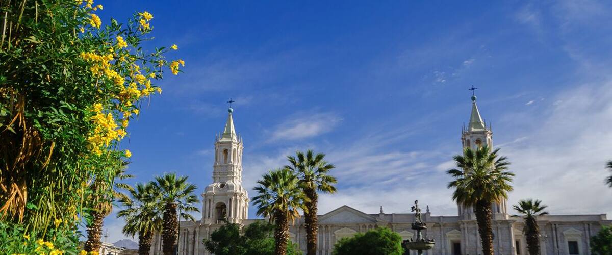 A historic plaza with a fountain, palm trees, and a large building with two towers.