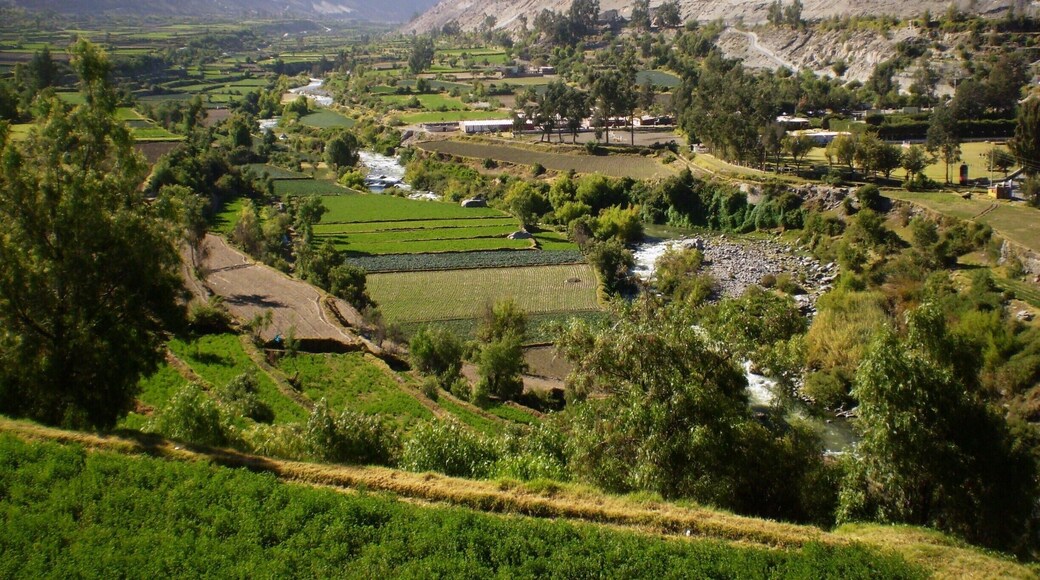 Provincia de Arequipa