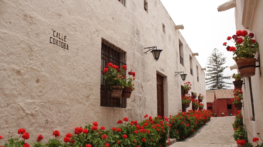 Una pequeña cuidad dentro de la cuidad. El monasterio me sorprendió y de buena forma. Se recomienda pagar por un guía ya que si haces el recorrido solo no entenderás nada.
Lo que mas me gusto: los hornos, la cocina en general, y esta calle. Calle Córdoba, blanca con las características flores rojas.
