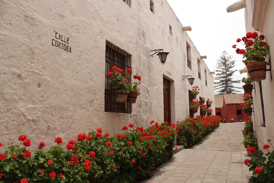 A narrow cobblestone street flanked by white buildings with red flowers and hanging planters.