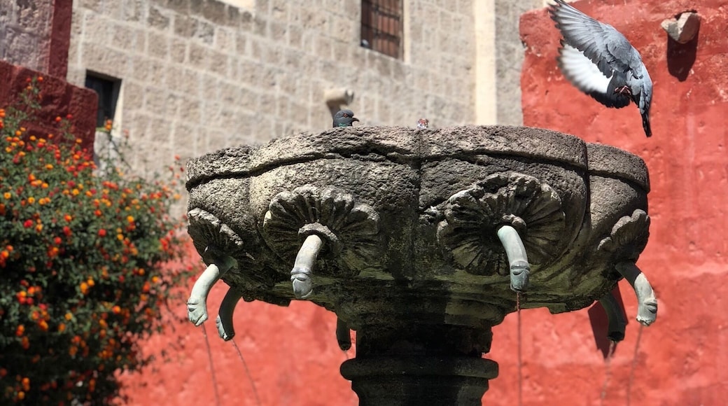 Amazing place not to be missed while in Arequipa