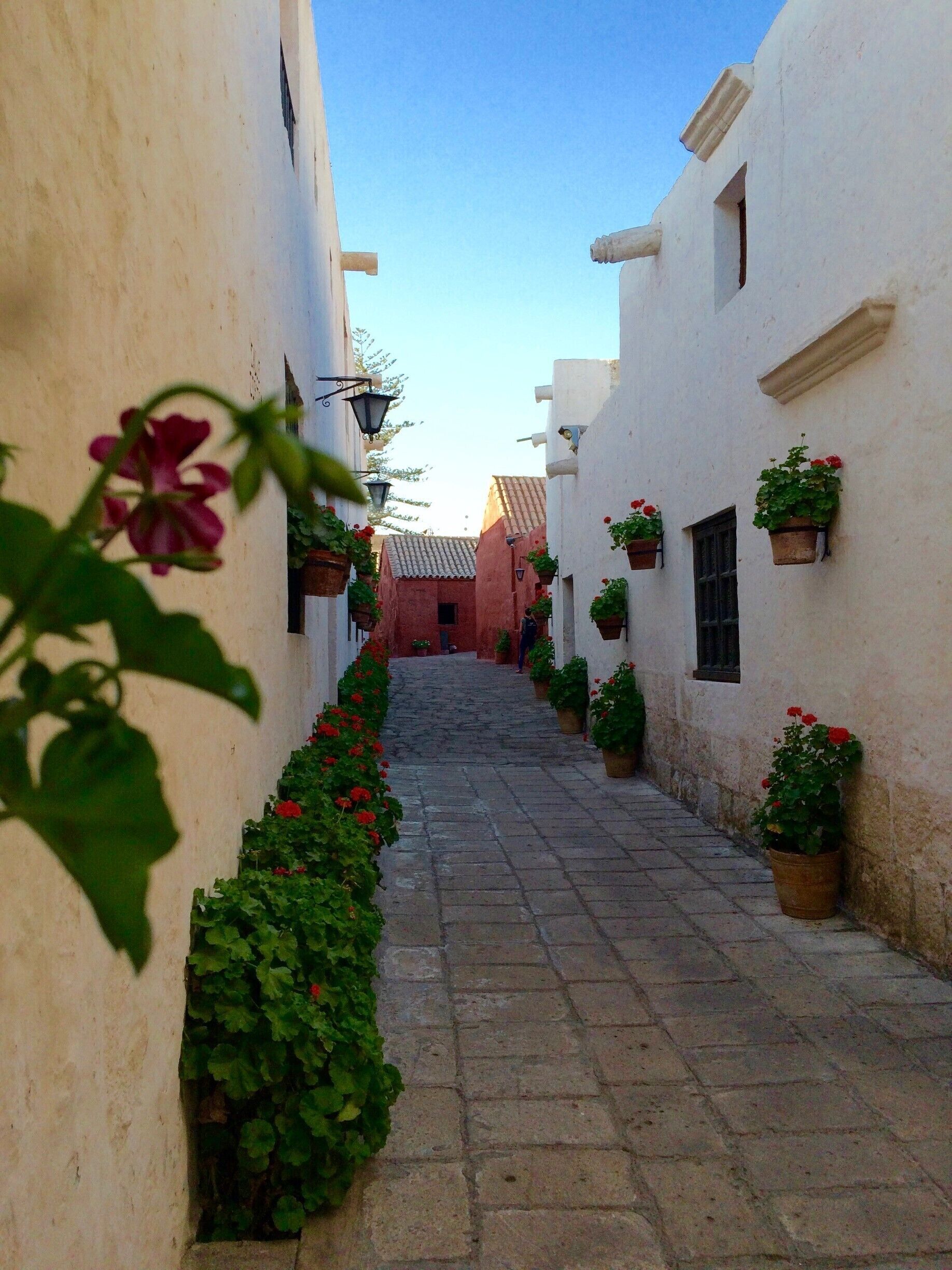 Monasterio de Santa Catalina