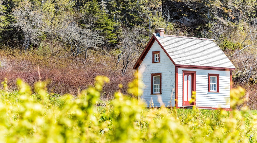 ๋ณด๋๋ฒ๋ํ ์ง์ญ ์นด์ดํฐ ์ง์์ฒด