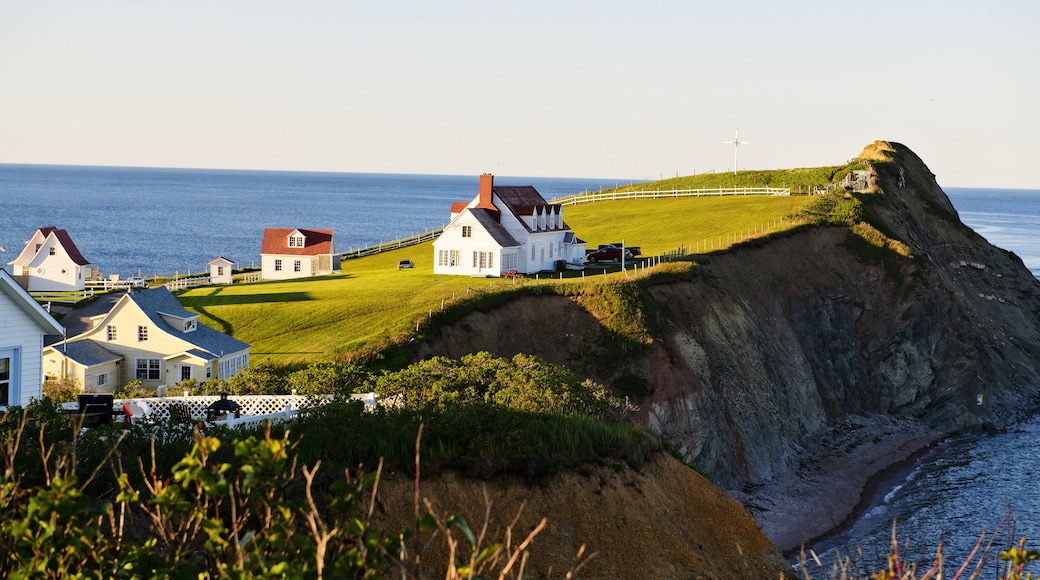 ๋ณด๋๋ฒ๋ํ ์ง์ญ ์นด์ดํฐ ์ง์์ฒด