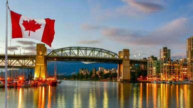 A city skyline with a prominent bridge, a flag, and a waterfront with boats.