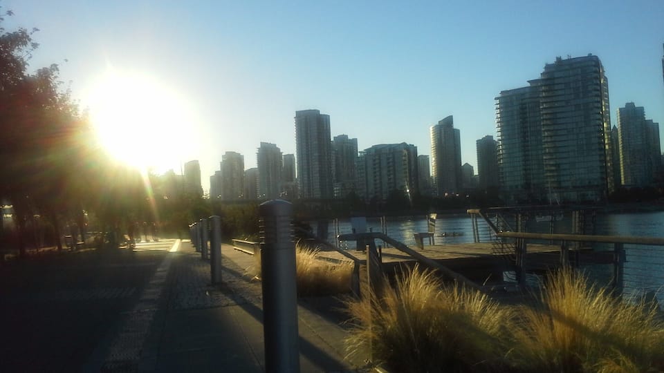 A city skyline with high-rise buildings, a waterfront, and a pedestrian walkway with bollards and grass.