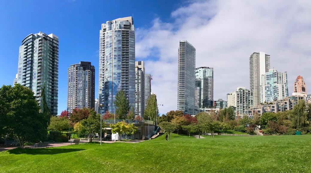 Something new to this city