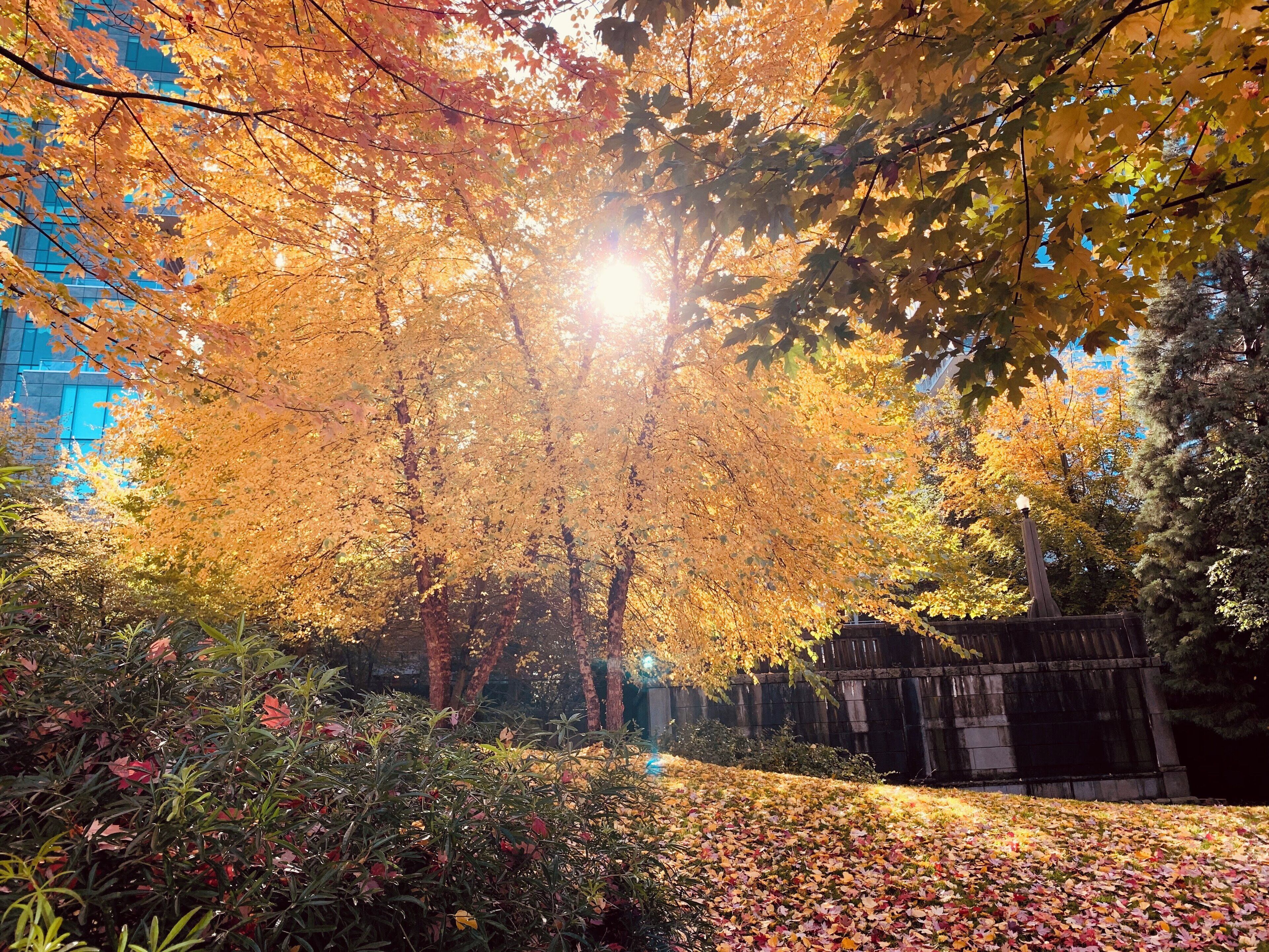 Same place, another view from the magic fall colors. 

#LifeAtExpediaGroup