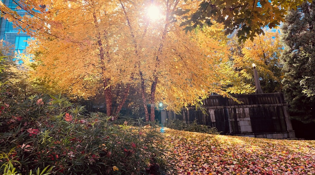 Same place, another view from the magic fall colors.
#LifeAtExpediaGroup
