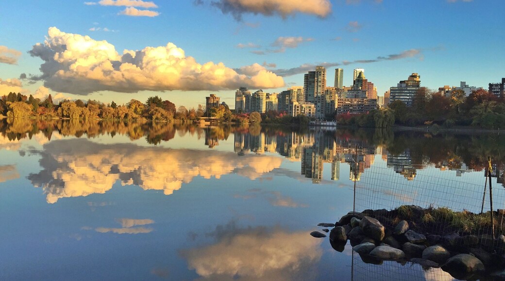 A perfect end to a walk through Stanley Park. Plenty colourful ducks, great blue herons, squirrels and the occasional raccoon.
I recommend walking the seawall to third beach. Then head left at the top of the stairs, and take the Tatlow trail through the park to Lost Lagoon.