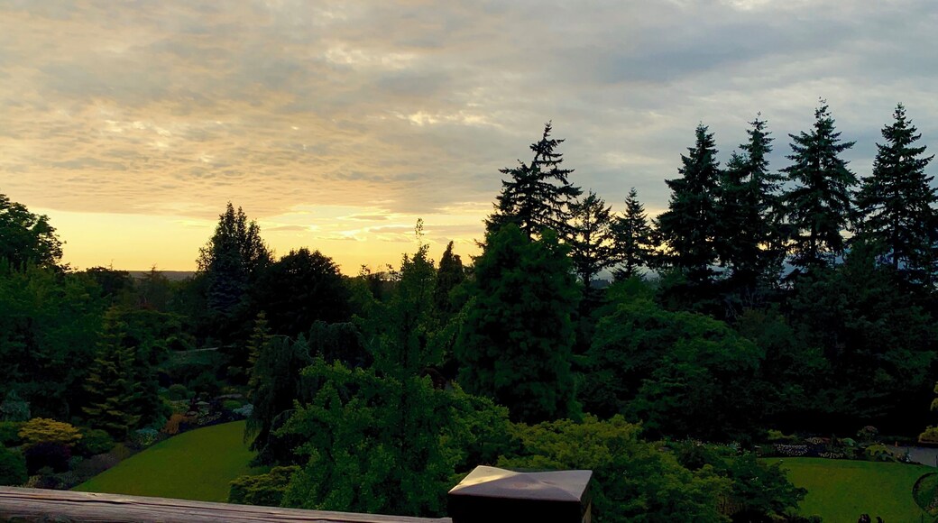 #sunset #park #nature