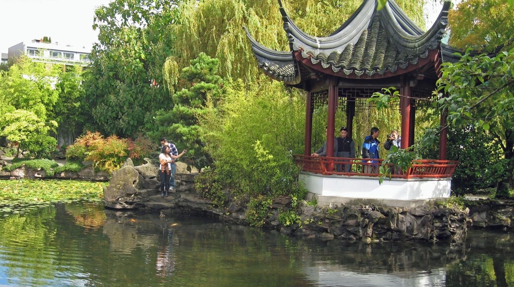 These gardens are an oasis of calm in the otherwise bustling Chinatown in Vancouver. Built to promote understanding between the peoples of China & Western cultures.
