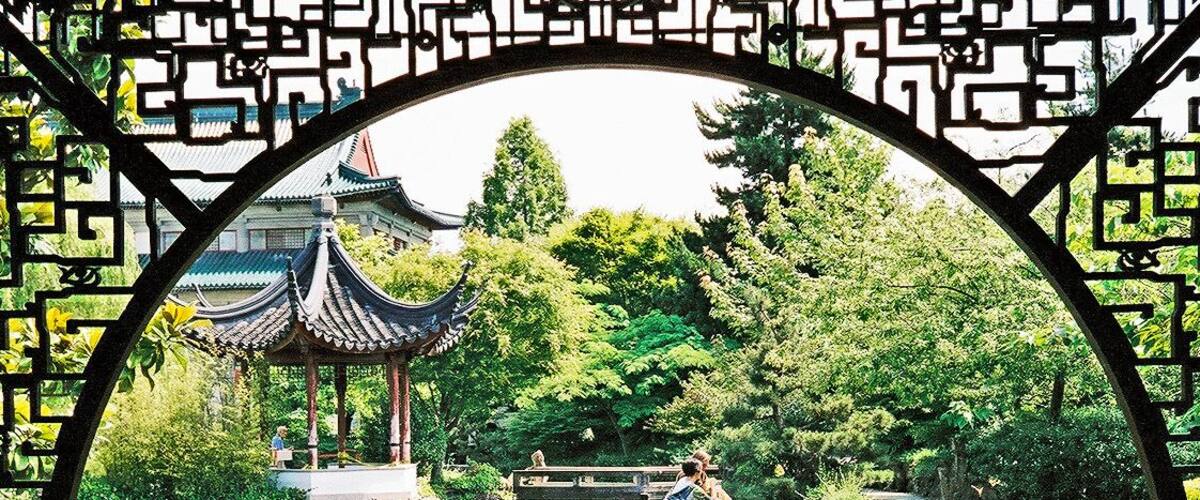 Beautiful setting and very peaceful in the middle of Vancouver #patterns #parks