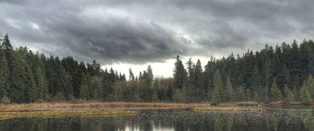 Solace at Beaver Lake in Stanley Park, Vancouver. It's so great having a huge park so close to the city!