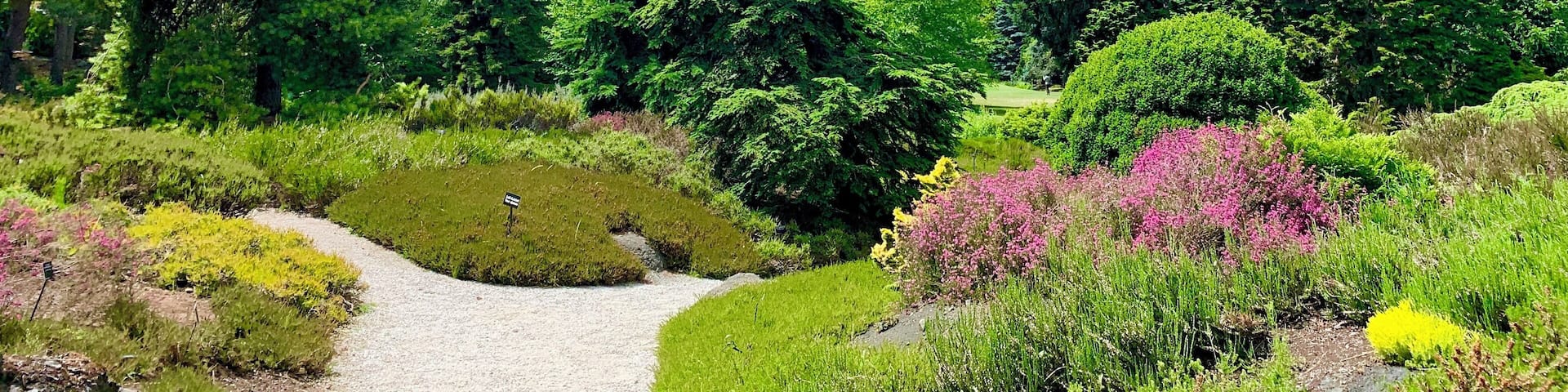 #garden #nature #green #park