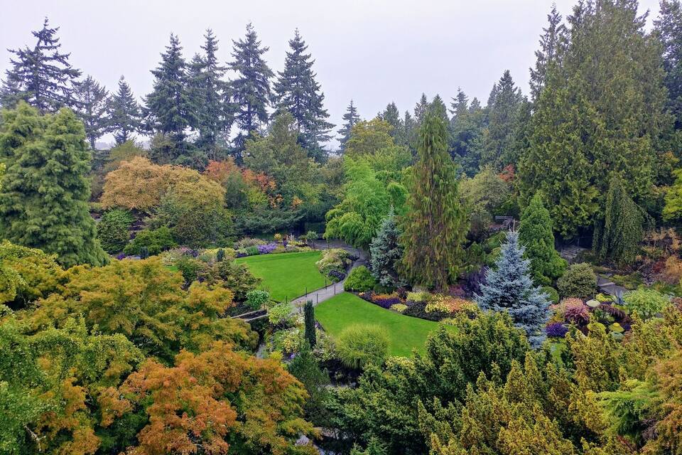 Un jardin luxuriant, avec différentes espèces d’arbres et un sentier sinueux.