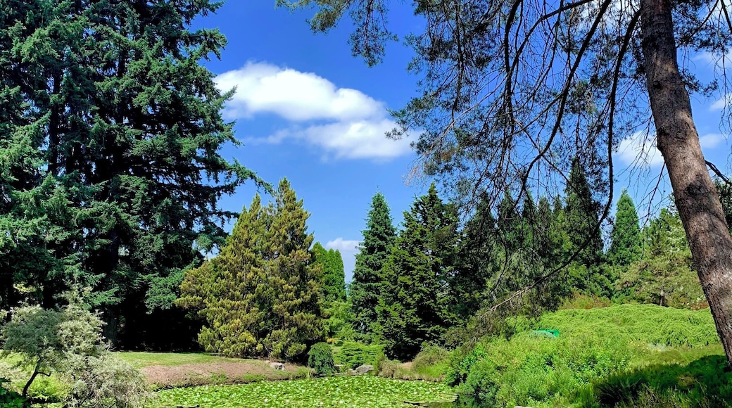 Look at that reflection! Isn’t amazing?#garden #canada #green #nature