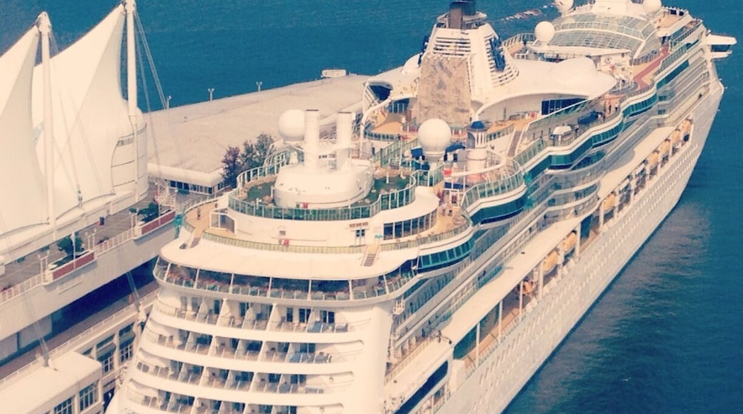 Radiance of the Seas today - a departure from the ordinary!