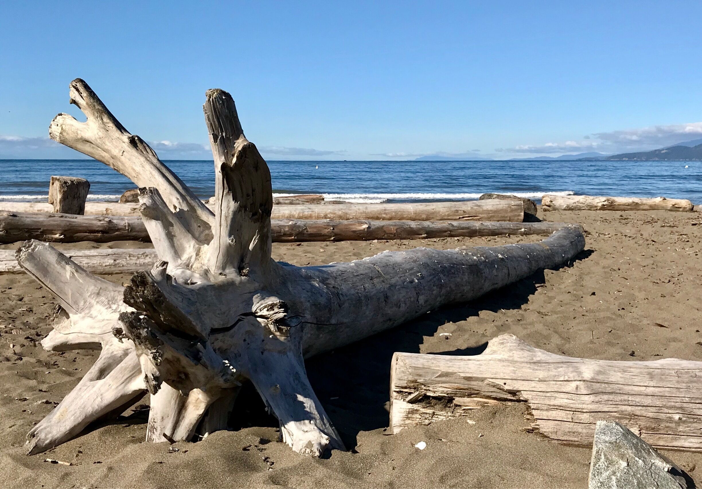 Vancouver’s best offer, nice sunny day at the beach and clear blue sky