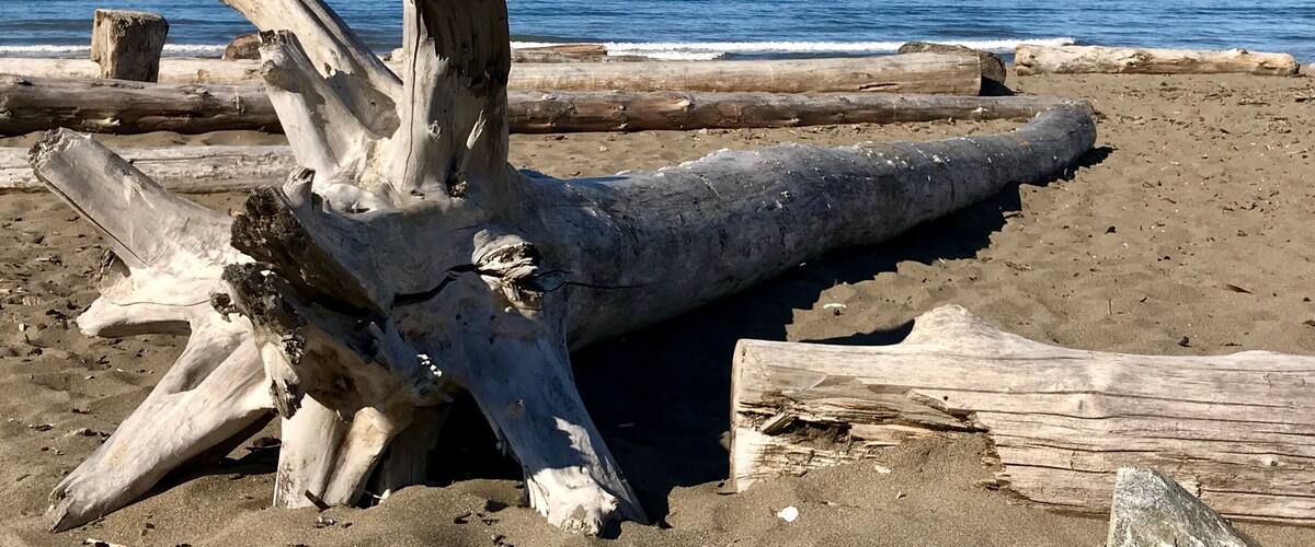 Vancouver’s best offer, nice sunny day at the beach and clear blue sky