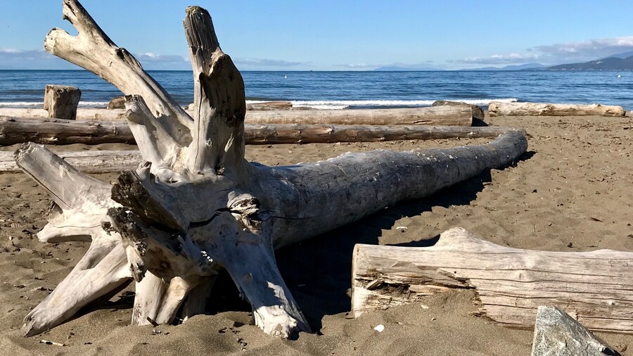 Vancouverâs best offer, nice sunny day at the beach and clear blue sky