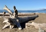 Vancouver’s best offer, nice sunny day at the beach and clear blue sky