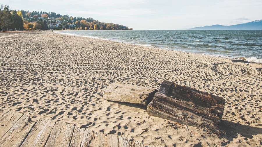 Jericho Beach looks awesome!
#beach