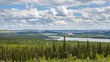 A forested landscape with a lake and distant hills.