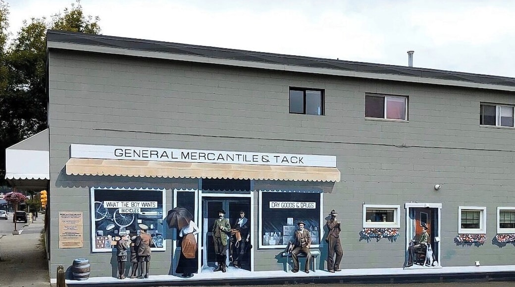 Mural of a general store, circa early 1900s, in Williams Lake, BC. (September 2019)
#Trovember