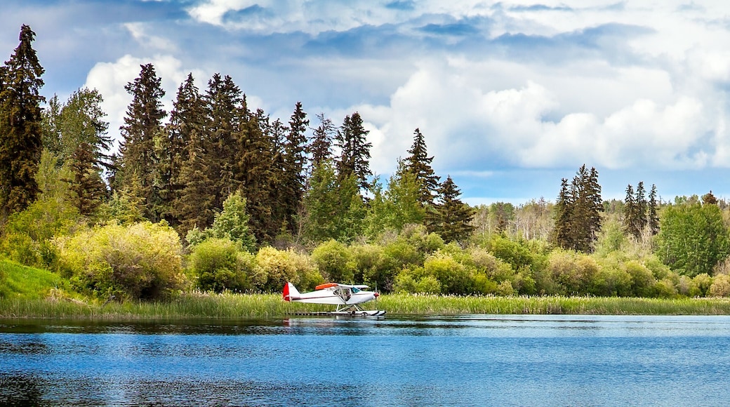 ウィリアムズ レイク